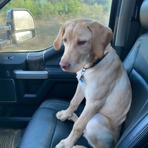 Meet your Posher, Shaun